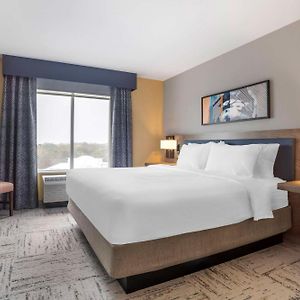 One-Bedroom King Suite
